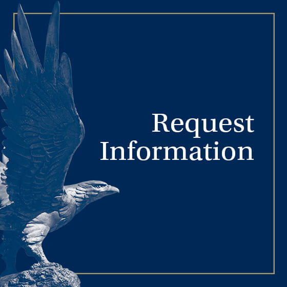 Request Information